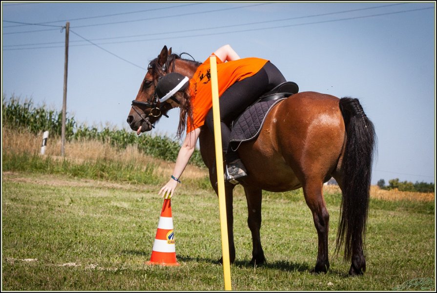 Mounted Games 133